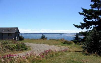 Congratulations to the Newest MFAW Alumni!