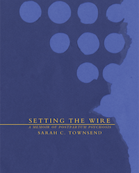 MFAW ALUM SARAH C. TOWNSEND INTERVIEWED ABOUT NEW BOOK IN CHICAGO REVIEW OF BOOKS!