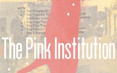 The Pink Institution, Selah Saterstrom